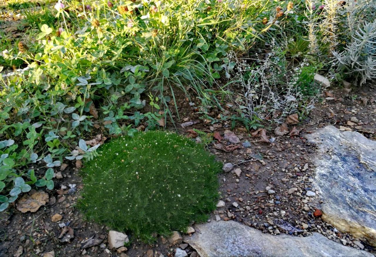 Osada Sudecka Villa Ladek-Zdroj Bagian luar foto