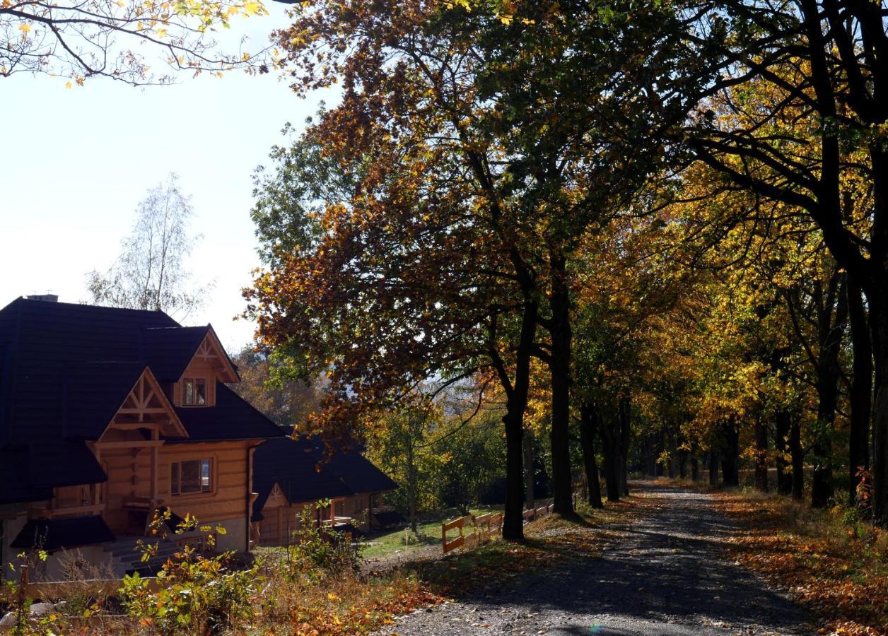Osada Sudecka Villa Ladek-Zdroj Bagian luar foto