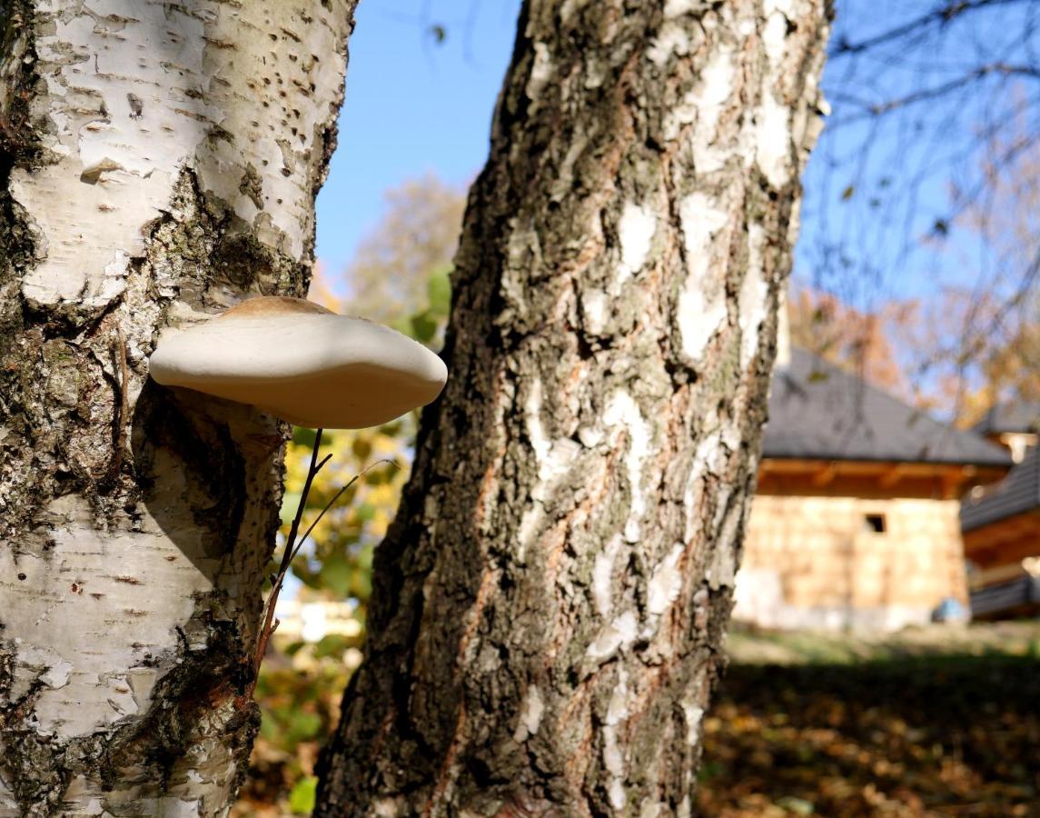 Osada Sudecka Villa Ladek-Zdroj Bagian luar foto