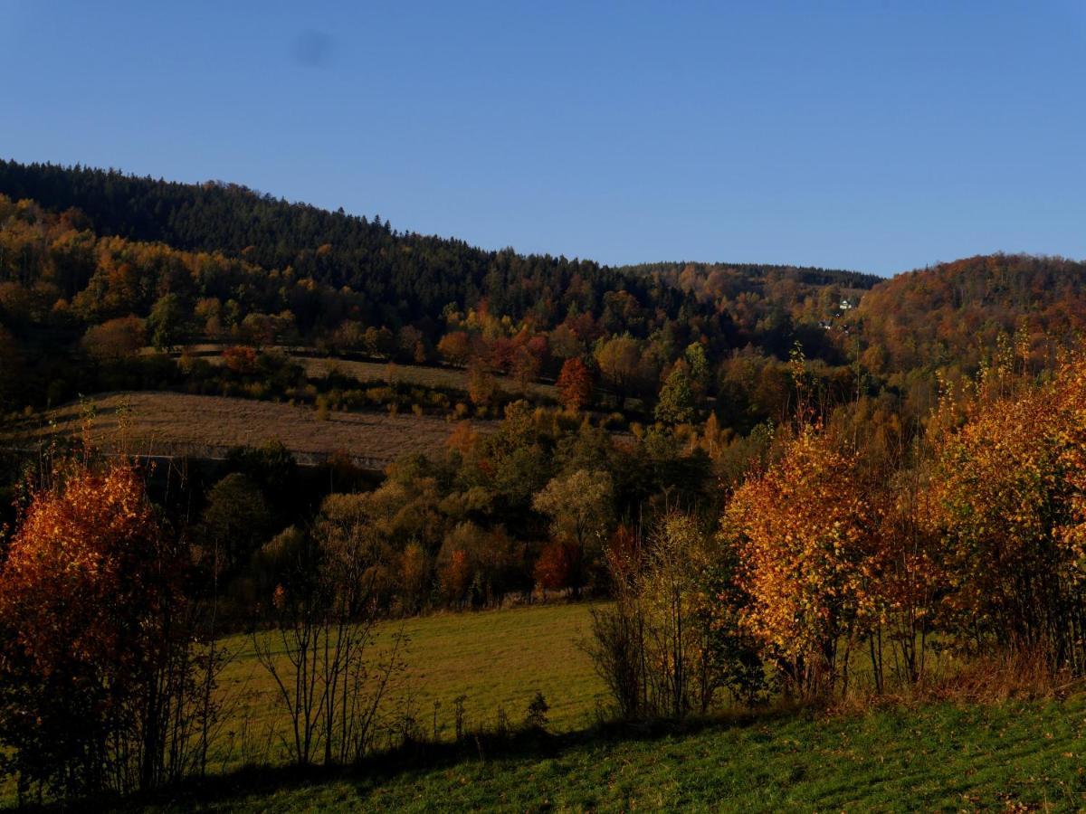 Osada Sudecka Villa Ladek-Zdroj Bagian luar foto