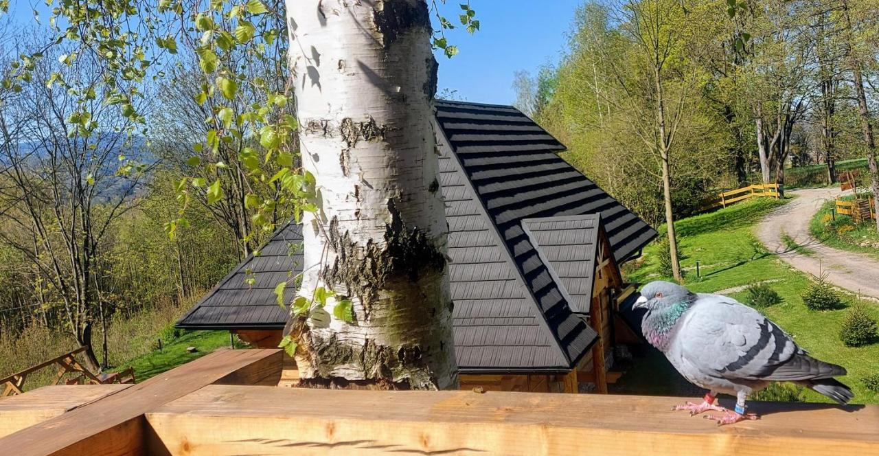 Osada Sudecka Villa Ladek-Zdroj Bagian luar foto